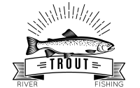 Brand 311