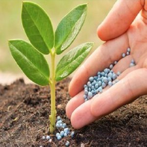 Fertilizers