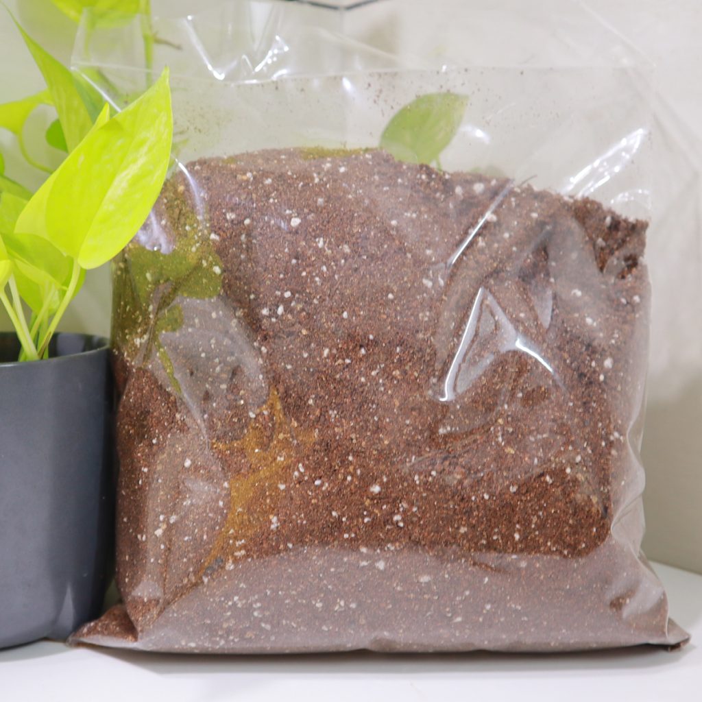 Indoor Plant Potting Mix 2Kg Ponnappan
