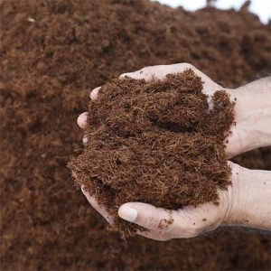 Cocopeat Compost 10kg